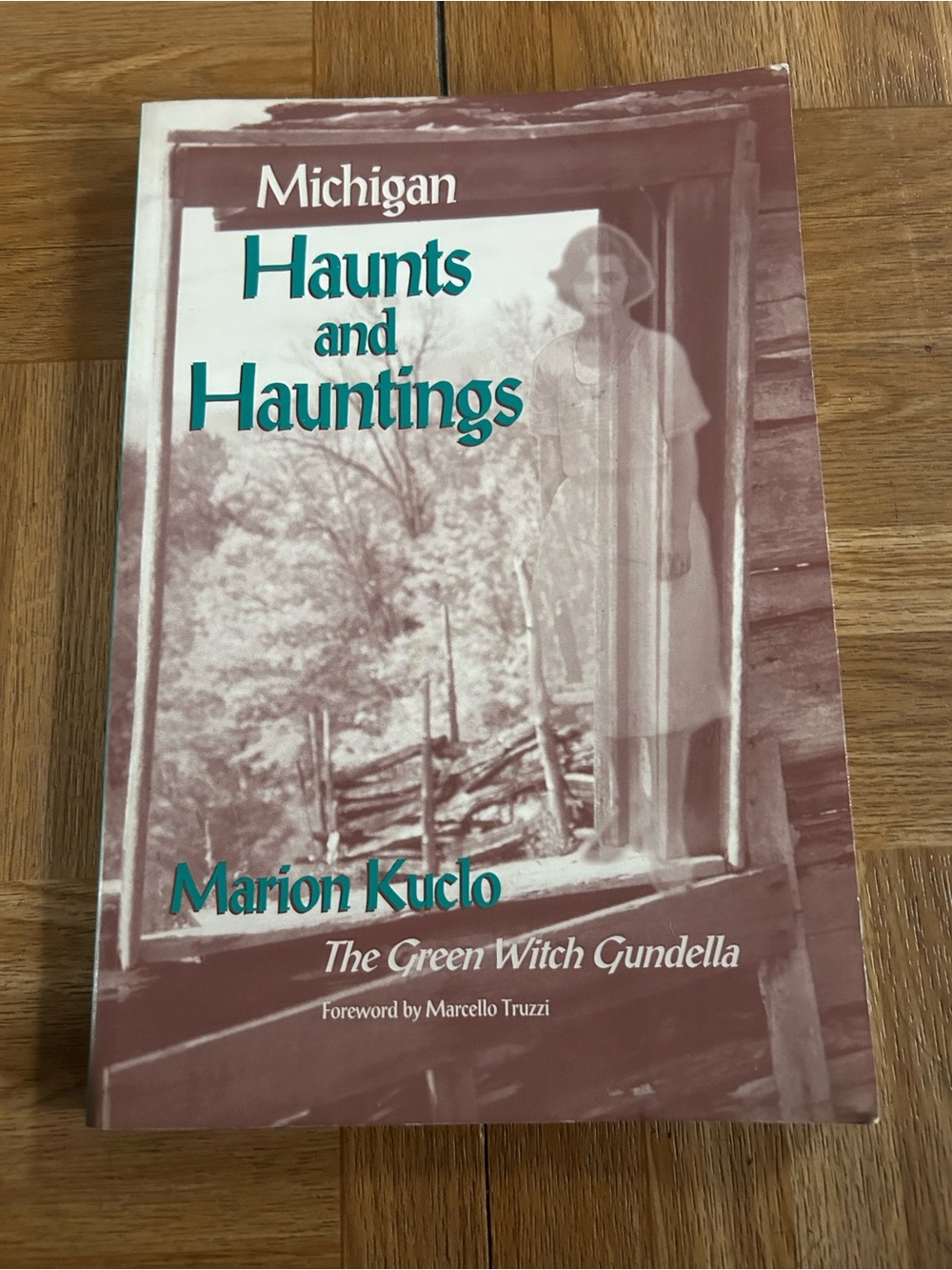 Michigan Haunts and Haunting Book